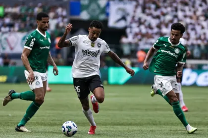 AGIF25033016433639 1 scaled 1