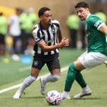 Palmeiras e Botafogo pelas oitavas do Mundial 3