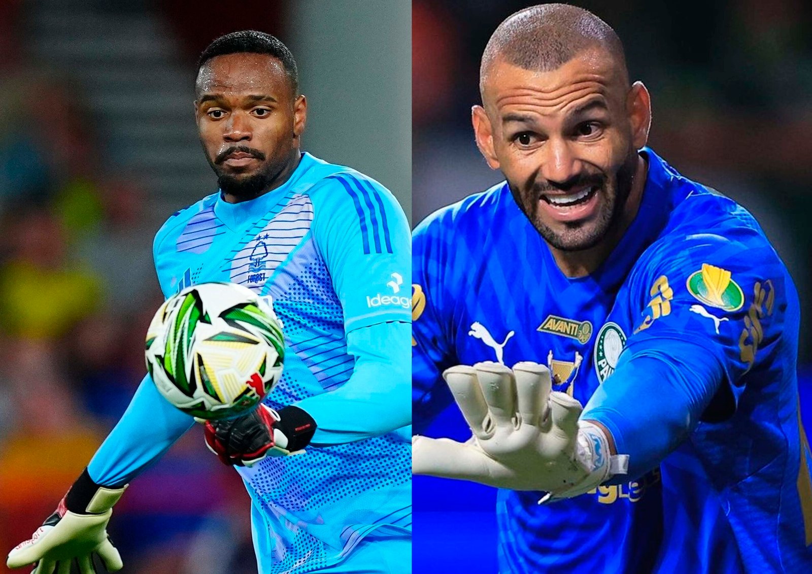 palmeiras weverton carlos miguel 1 scaled