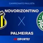 novorizontino e palmeiras