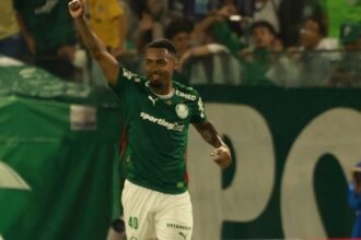 Allan, do Palmeiras, é suspenso por dois jogos por expulsão no jogo contra a Chapecoense 13 palmeiras vence santos